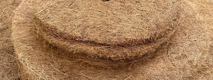 Kokosscheibe in 5 Größen, dank Loch einfach auf die Wurzel jeder Pflanze zu legen