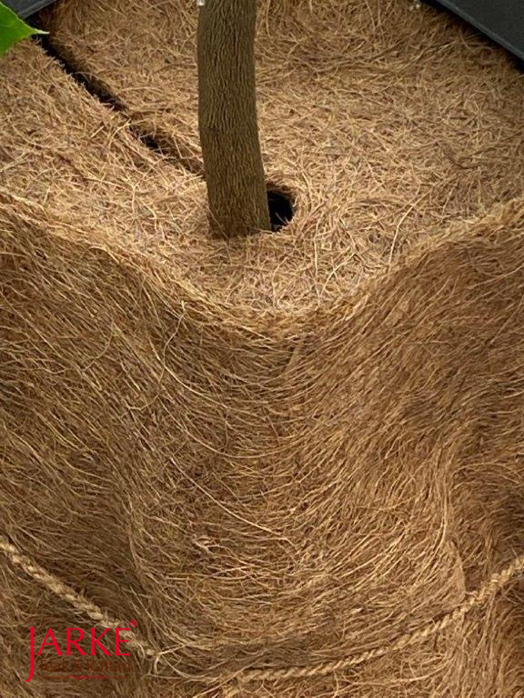 Winterschutz für alle Pflanzen: Kokosmatten in div. Größen, einfach den Topf umwickeln